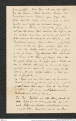 Nachlass Franz Steindachner, Brief von Eduard Graeffe an Franz Steindachner (04.08.1897), Inv.Nr. 173.18, Seite 2